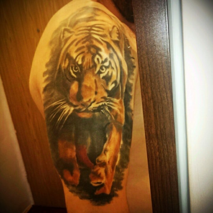 纹身老虎   威风凛凛的老虎纹身图案9张