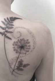 植物纹身图案 形态万千的植物纹身图案