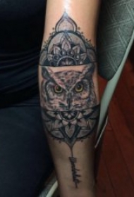 纹身猫头鹰   宛如黑夜精灵的猫头鹰纹身图案