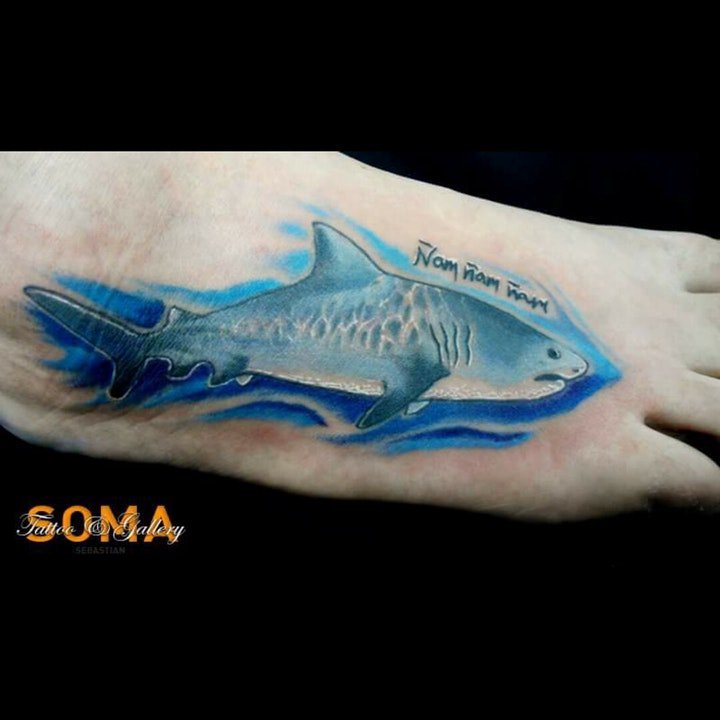 纹身鲨鱼图案 多款可爱卡通的鲨鱼纹身图案欣赏