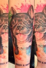 水彩纹身图片    随意而又唯美的水彩泼墨纹身图案