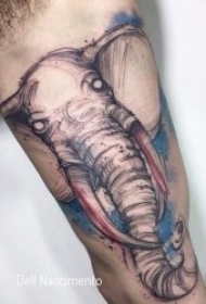 动物纹身图案 10款不同种类的动物纹身图案