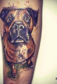 小狗纹身图案 10张身体各部位的小狗纹身图案图片