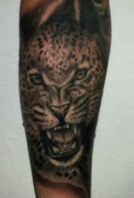 黑灰动物纹身 10组黑灰色调凶猛纹身动物系纹身图案