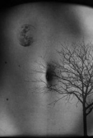 纹身树木的图像  9款苍翠挺拔的树木纹身图案