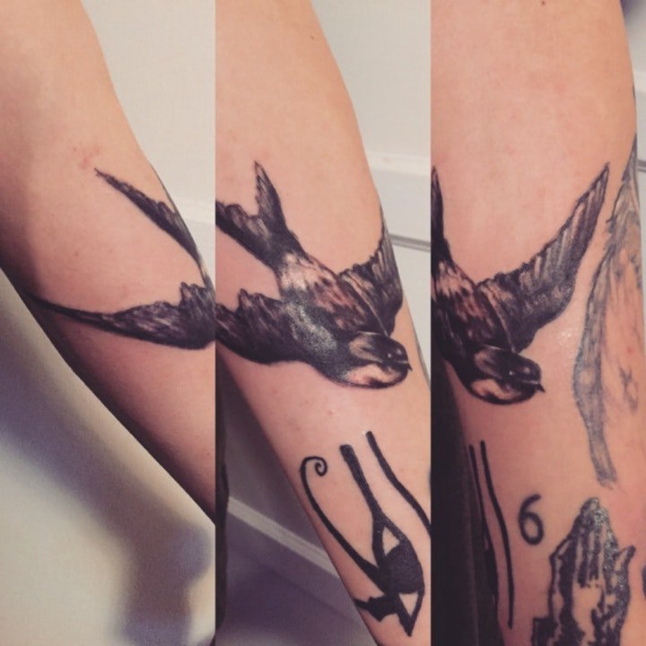 多款形态各异且活灵活现的鸟纹身图案