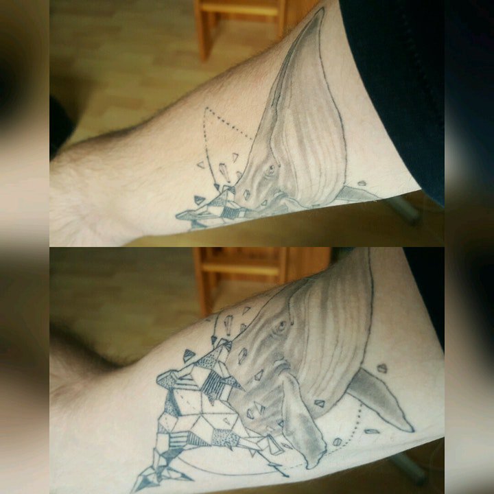 黑灰纹身风格 一组黑灰纹身风格的动植物纹身图案