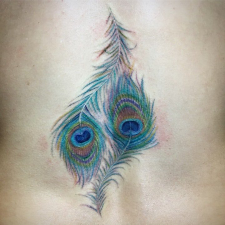 羽毛纹身图  8款轻柔而又唯美的羽毛纹身图案