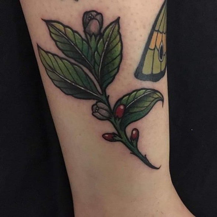 植物纹身图案 10张唯美且清新的植物纹身图案