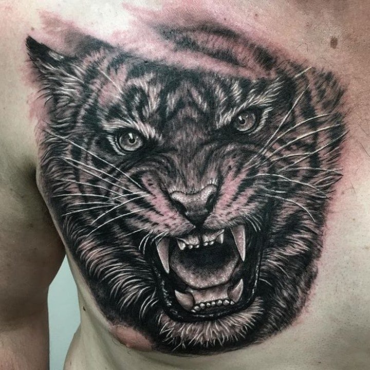 老虎纹身图案 10张霸气十足的老虎纹身图案