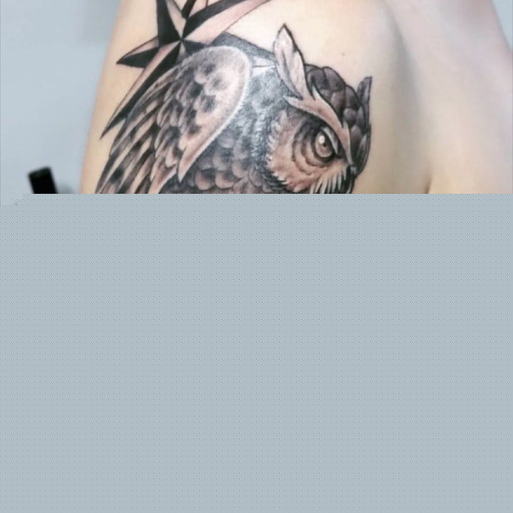 纹身猫头鹰图片  羽毛蓬松柔软的猫头鹰纹身图案