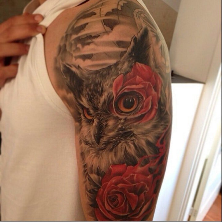 纹身猫头鹰图片  羽毛蓬松柔软的猫头鹰纹身图案