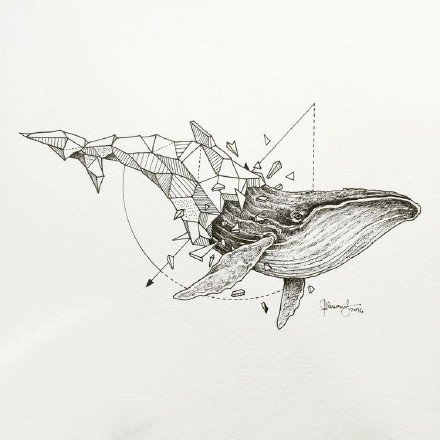 纹身小鲸鱼 9张小清新黑色小鲸鱼纹身图案