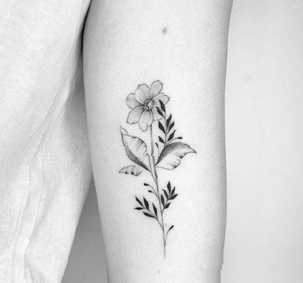 纹身素花图 漂亮的9张黑白素花小纹身图片