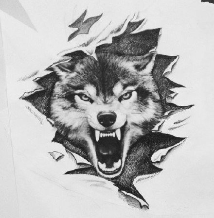 37组各风格的帅气狼头纹身图案手稿