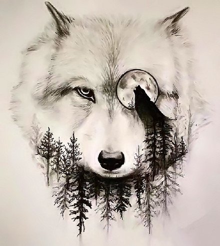 37组各风格的帅气狼头纹身图案手稿