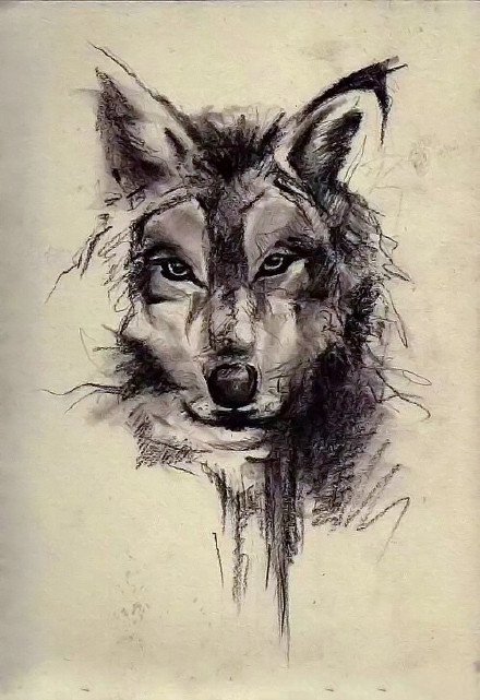 37组各风格的帅气狼头纹身图案手稿