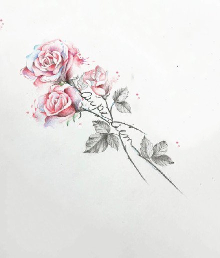 精美的一组小清新的彩色小纹身手稿图片