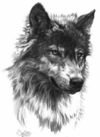 9款帅气的黑色狼头手稿图案