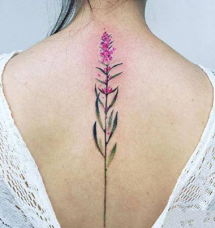 脊椎纹身 女生后背脊柱处唯美感觉的纹身图片