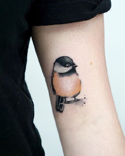 鸟纹身 9张很可爱的小清新小小鸟纹身图案