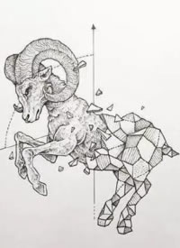 22款几何碎片搭配动物的创意纹身手稿图片