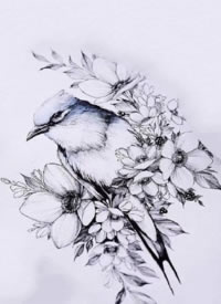 一组很美的黑灰色鸟与花朵搭配的纹身手稿图片