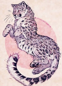 很可爱的一组猫咪等动物纹身手稿图片