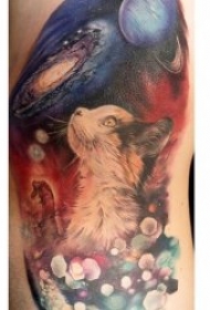 猫的纹身图案 慵懒而又机灵的动物猫纹身图案