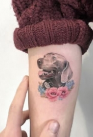 可爱小动物纹身 9款漂亮的彩色唯美小动物纹身图片