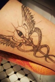 翅膀纹身图案 10张黑灰纹身与彩绘纹身风格的翅膀纹身图案