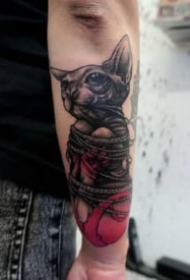 猫刺青图片 一组动物宠物猫的纹身图片欣赏