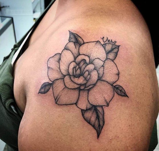 栀子花纹身 芬芳馥郁的栀子花纹身图案