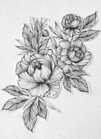 一组花卉植物的纹身手稿图片欣赏
