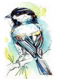 15款漂亮的水彩小鸟纹身手稿素材图片