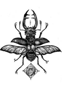 一组昆虫节肢动物的创意纹身手稿图片欣赏