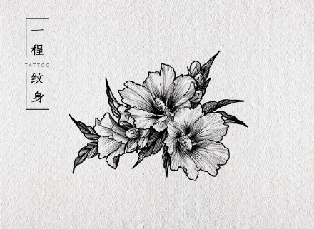 37张小清新的素花纹身手稿图片