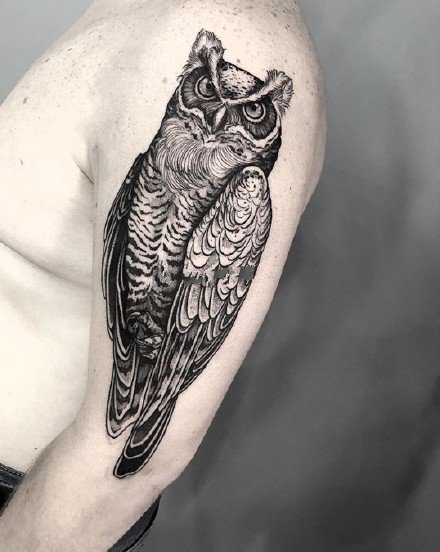 精致中透着高级感兔子鱼猫头鹰动物纹身