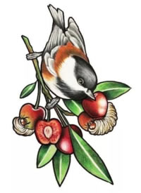 一组school小鸟的纹身素材手稿图片