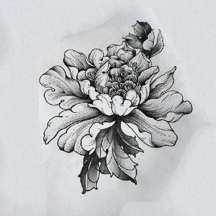 33款素花等花卉纹身手稿图片
