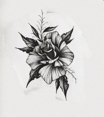 33款素花等花卉纹身手稿图片
