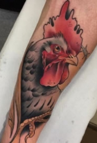 school动物纹身 15张newschool风格的动物图片纹身