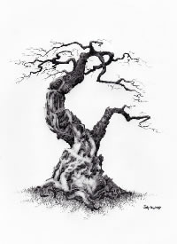 18款小黑树的纹身素材手稿图片