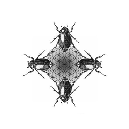 黑灰的42款创意小图纹身素材手稿图案