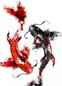 双鱼座手稿 34款漂亮的两条双鱼纹身手稿素材图片