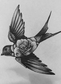 一组飞燕主题的纹身手稿图片赏析