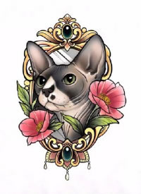 一组斯芬克斯无毛猫的school纹身手稿图片