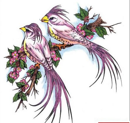 炫彩喜鹊纹身素材