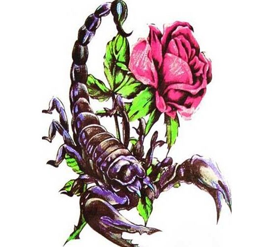 时尚毒物天蝎纹身刺青图案