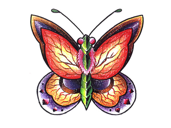 彩色蝴蝶纹身手稿